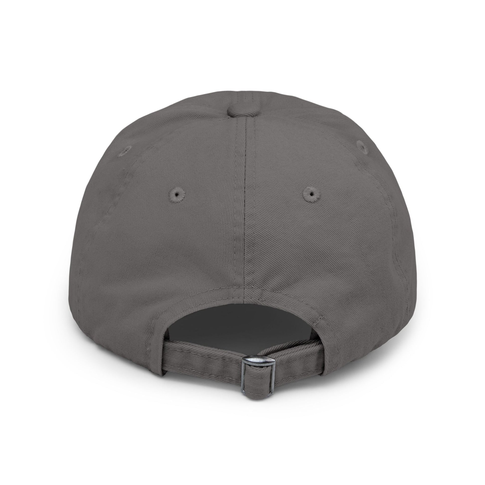 Protect the Parks Distressed Cap